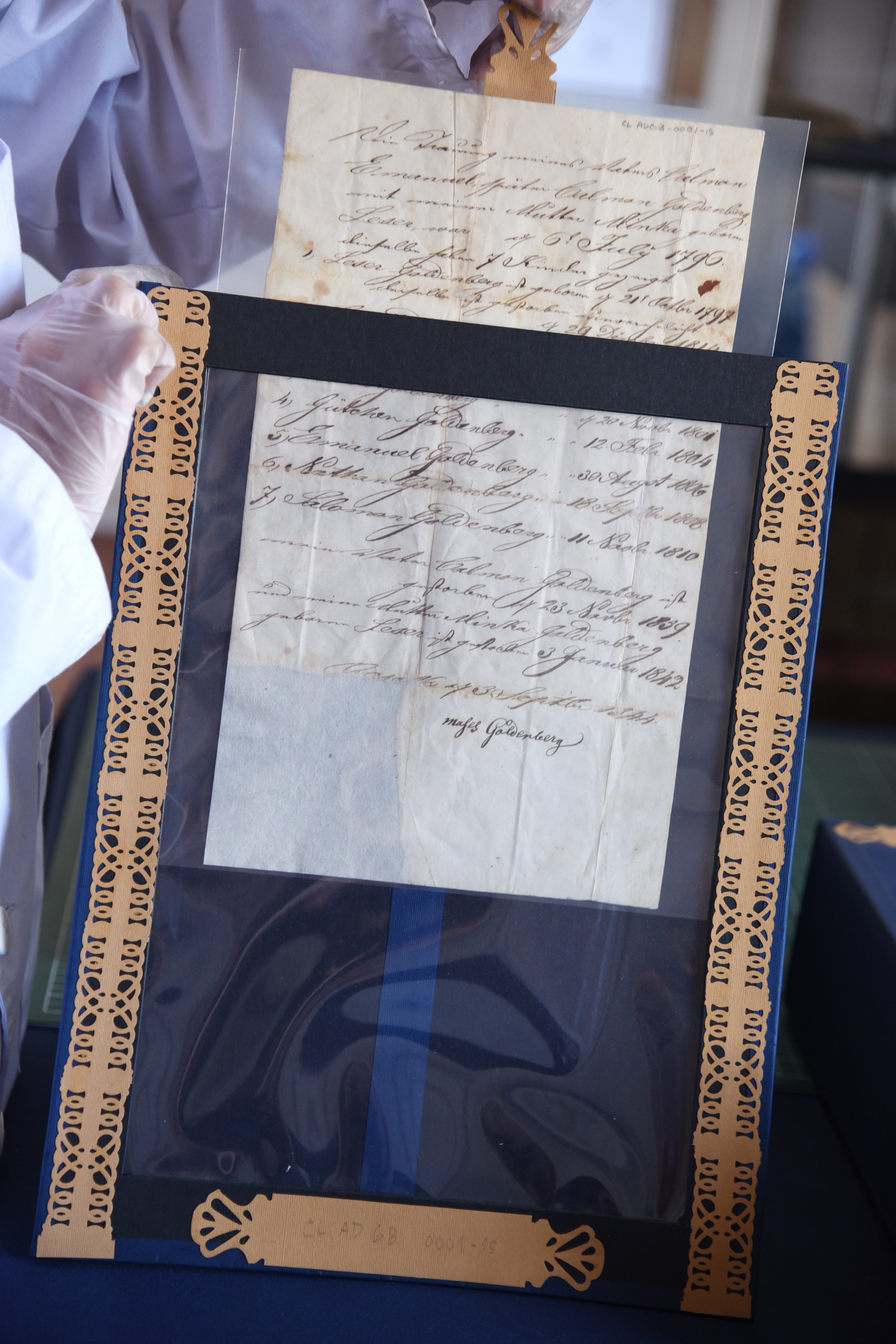 Exhibidores personalizados Conservacion