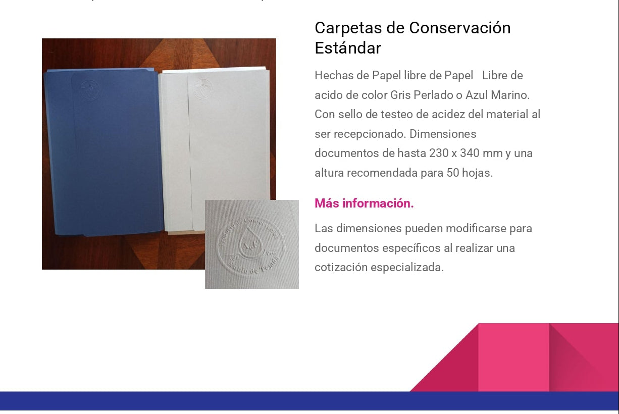 Carpeta Estandar Oficio 10un.