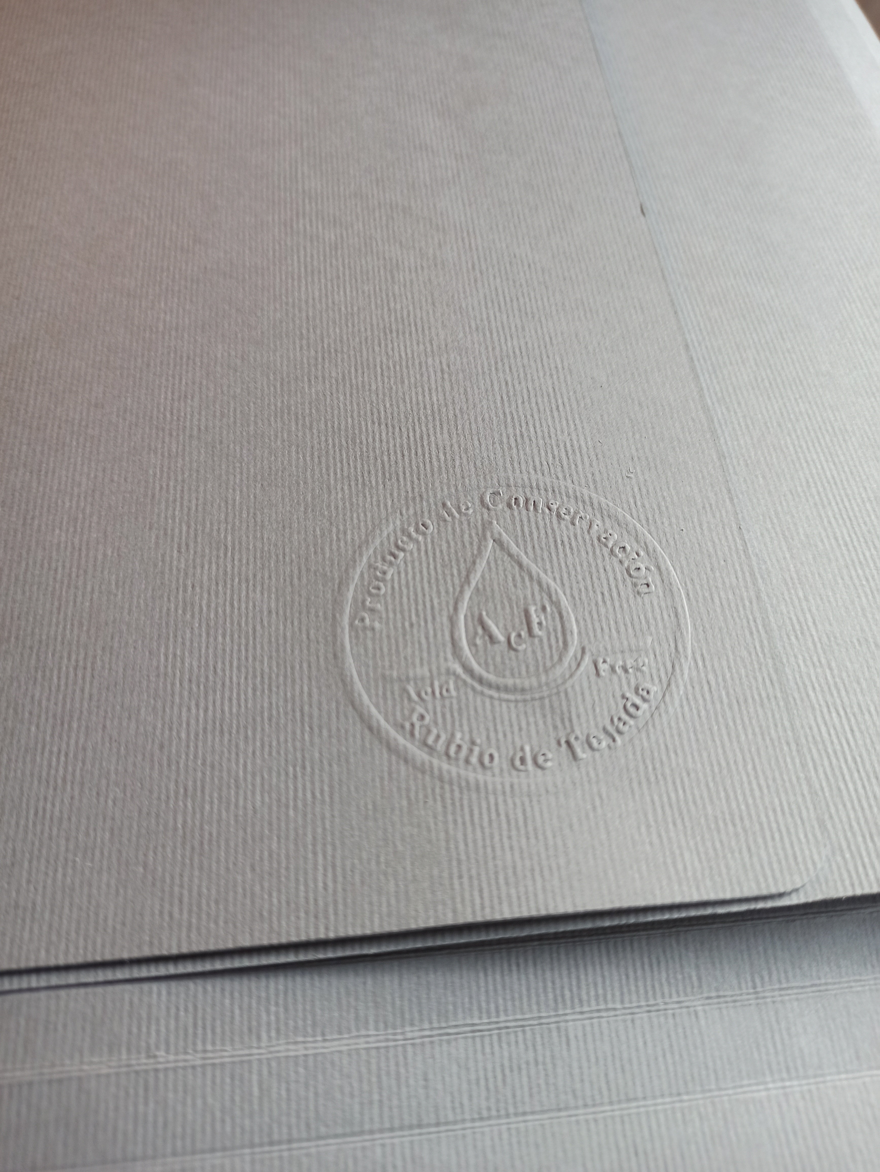 Carpeta Estandar A3 5un.