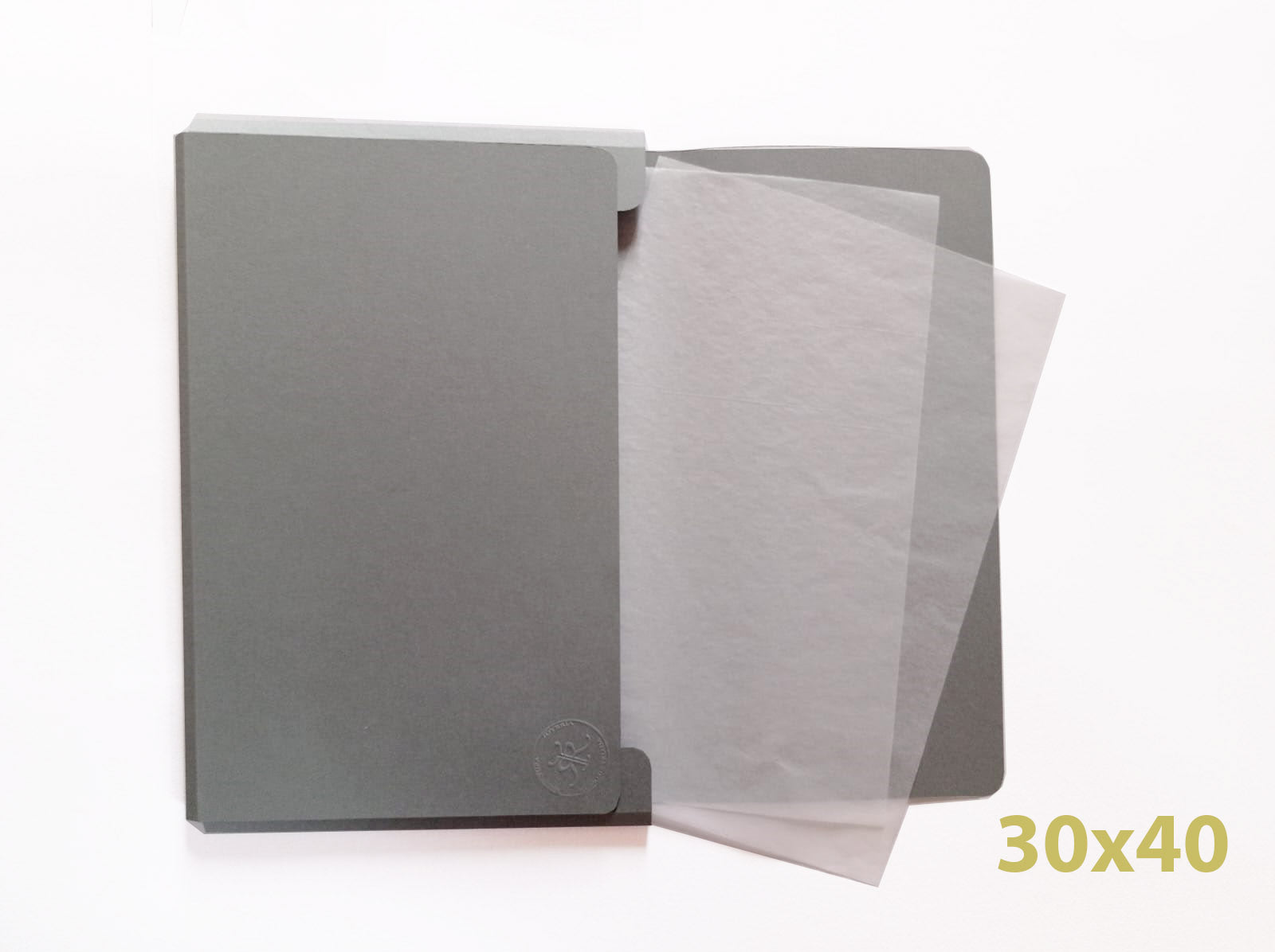 Carpeta Estandar A3 5un.